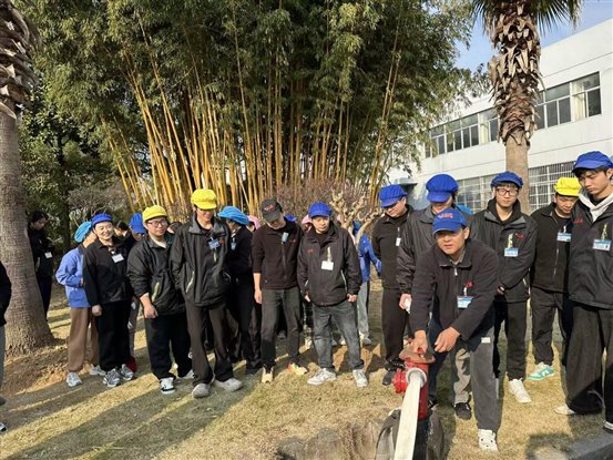 500a0a8ae5a3ef253ce2d0f25e5d3405